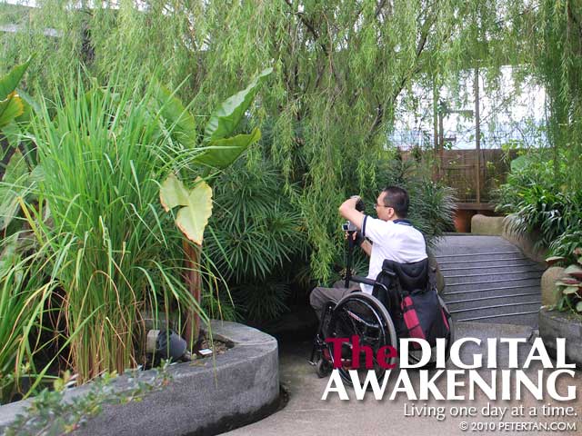 Peter Tan taking photographs at The Secret Garden of 1 Utama