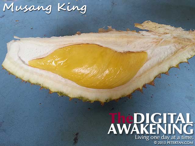 Musang King durian